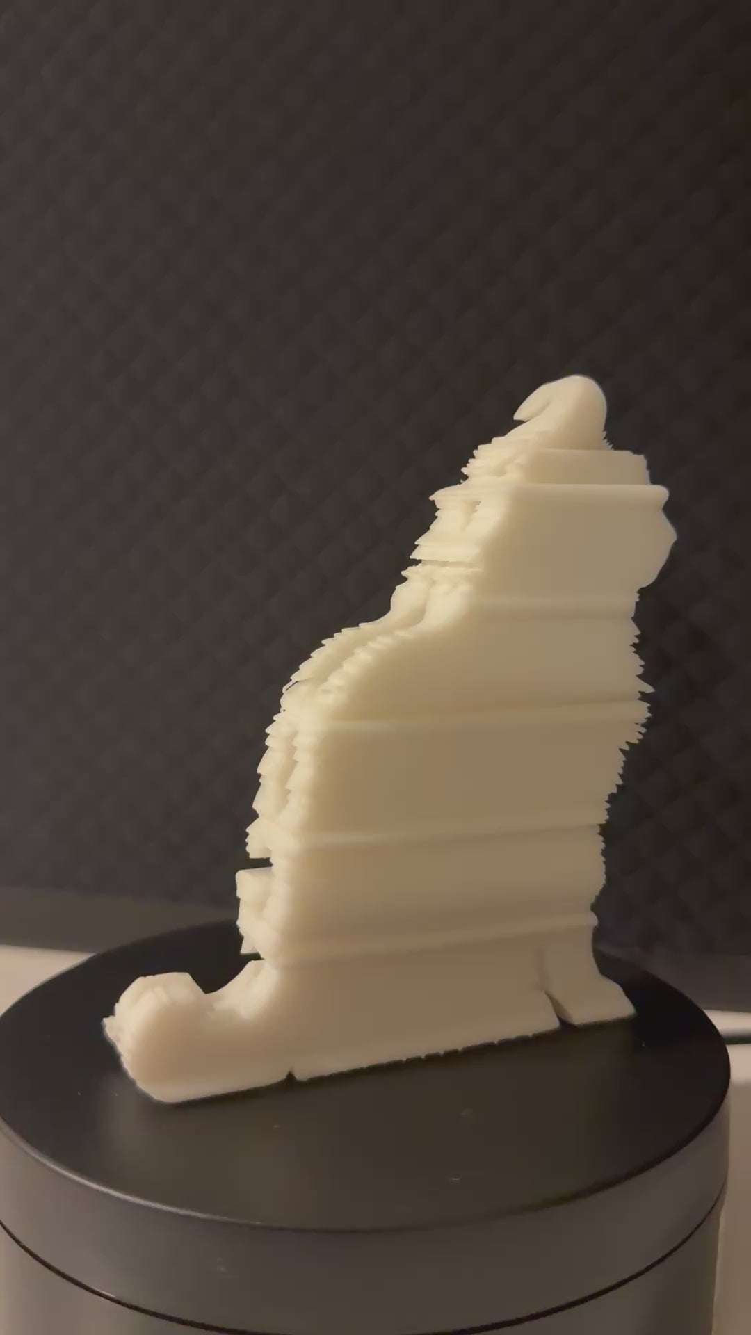 Cat with Name (Customizable)